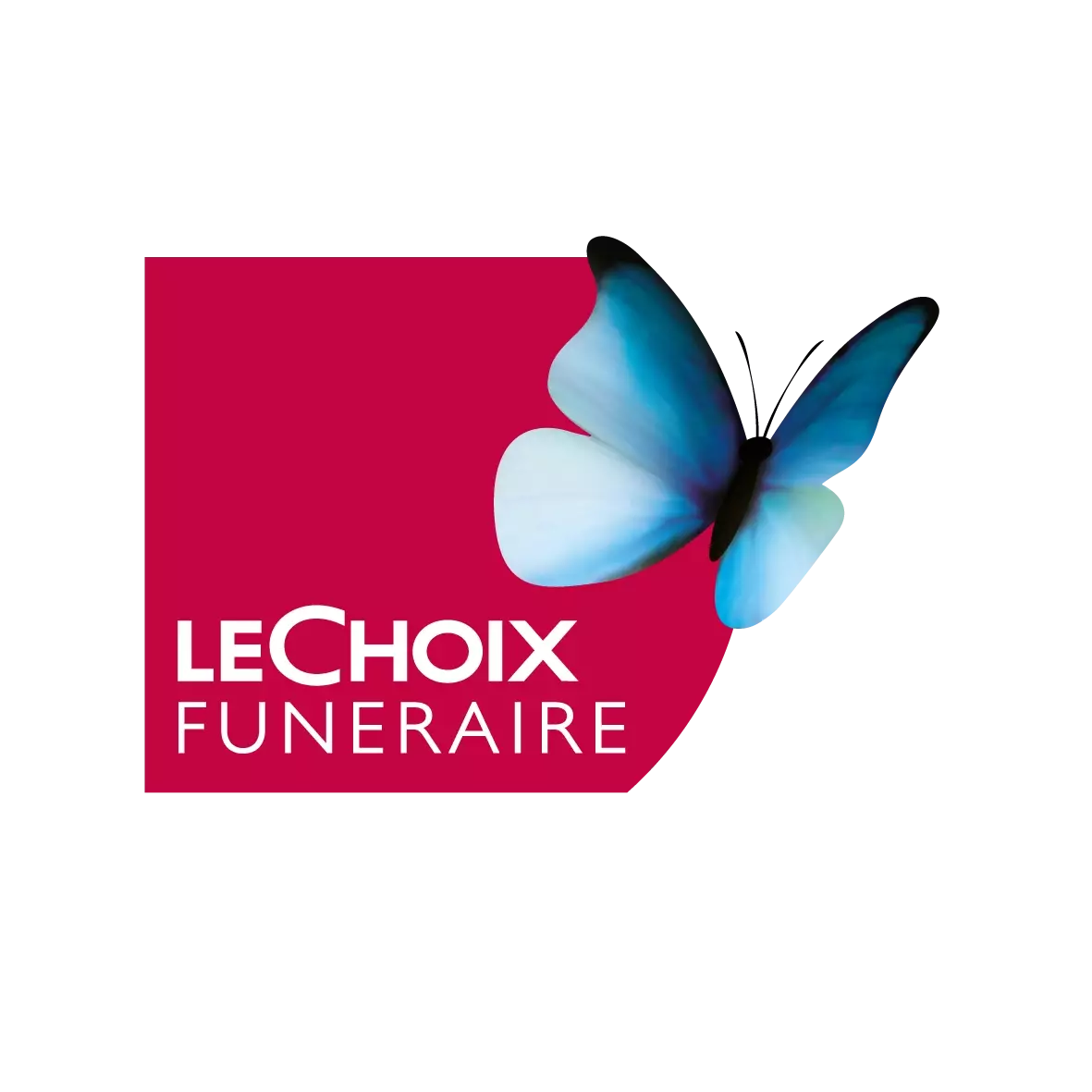 Notre force, indépendance et <i><span style="color: rgb(176, 42, 67)">appartenance à un réseau</i>